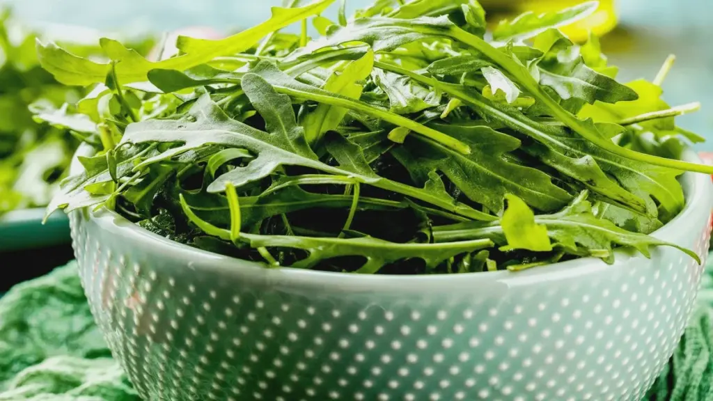 La rucola rimane fresca anche dopo una settimana: un panno umido Zewa previene il marciume
