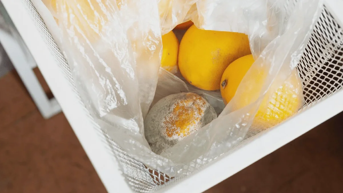 I limoni vicino alle mele ammuffiscono in fretta: il bagno all’aceto mantiene gli agrumi freschi più a lungo